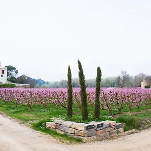 Rural Mas De L'illa Tivissa
